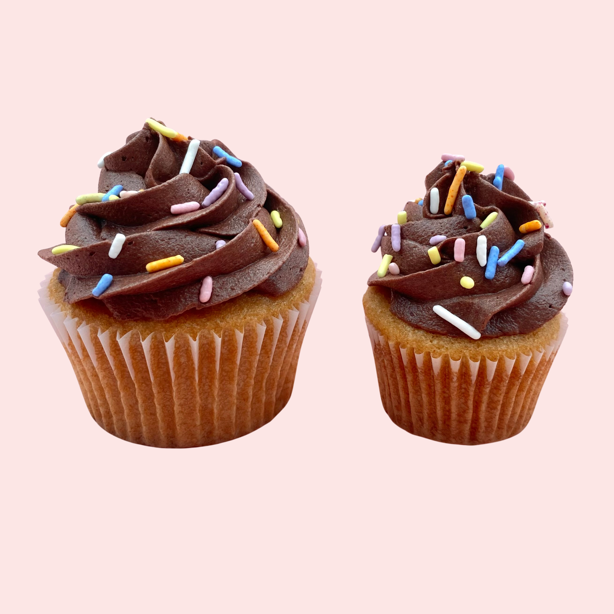 Classic Vanilla with Chocolate Buttercream